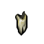 orc tooth