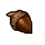 acorn