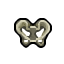 pelvis bone