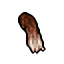foxtail