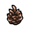 fir cone