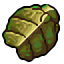 beetle carapace