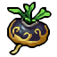 cave turnip