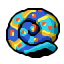 colourful snail shell