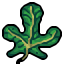 fig leaf