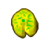 mouldy cheese