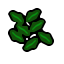 some leaves