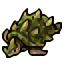 small tortoise