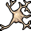 brain head's giant neuron