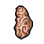 brain head's right hemisphere