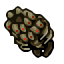 cruelty's chest