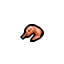 shrimp