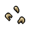 human teeth