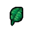 fern