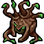 arboreal crown