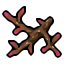 coral branch