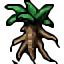 mandrake