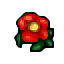 heaven blossom