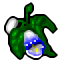 holy orchid