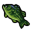 green perch